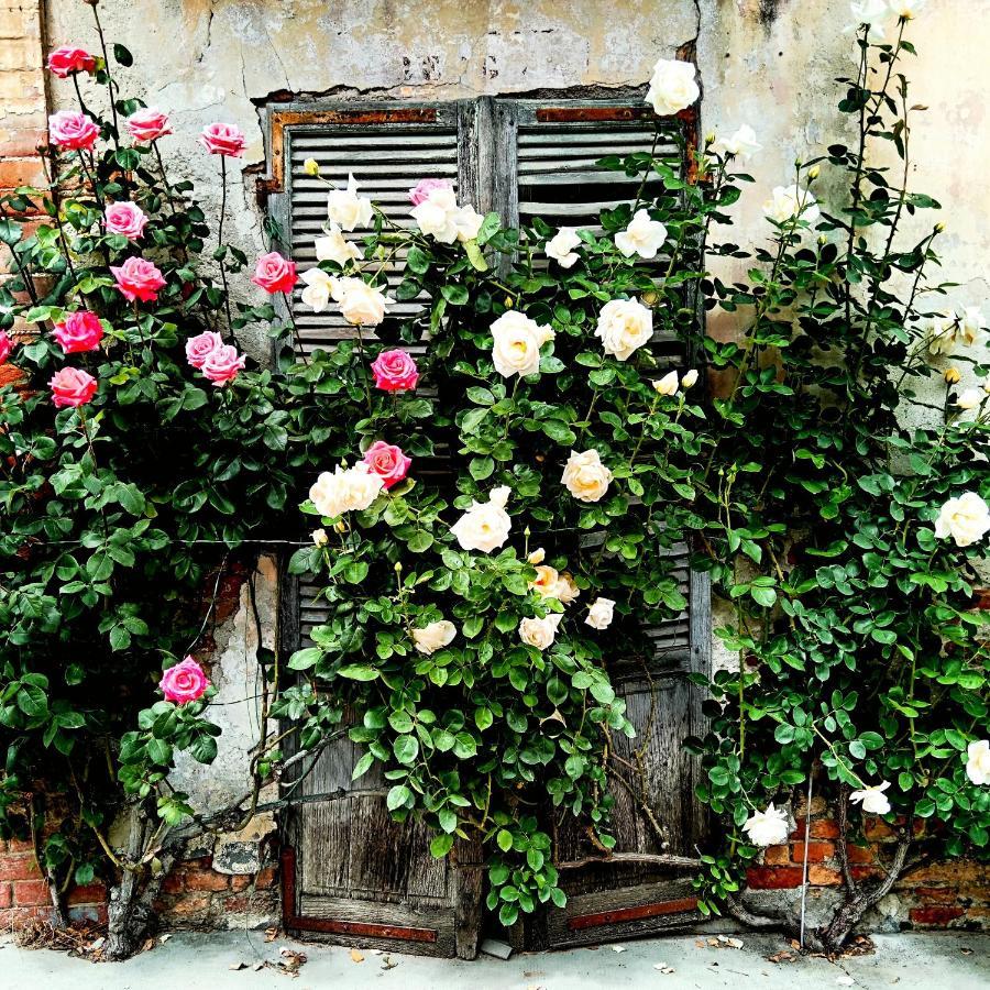 Teresa Al Belvedere Rooms&Holidayapartments Camere&Appartamenti Castellinaldo Exterior photo