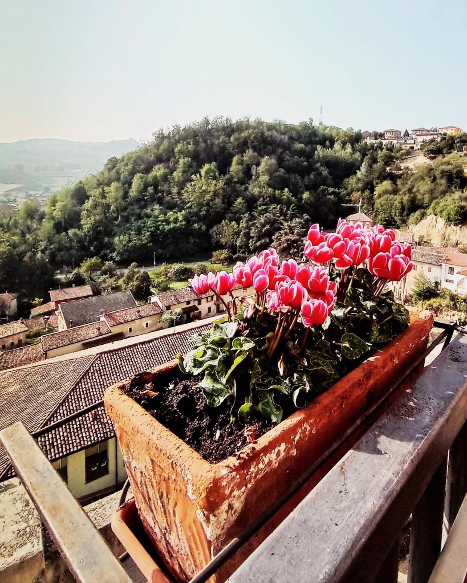 Teresa Al Belvedere Rooms&Holidayapartments Camere&Appartamenti Castellinaldo Exterior photo